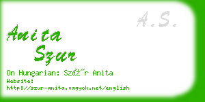 anita szur business card